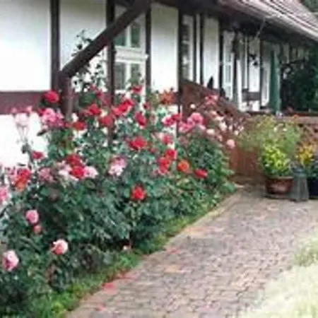 Doppelhaushaelfte Am Flacher See, Klocksin, Cleaning Included Holiday home